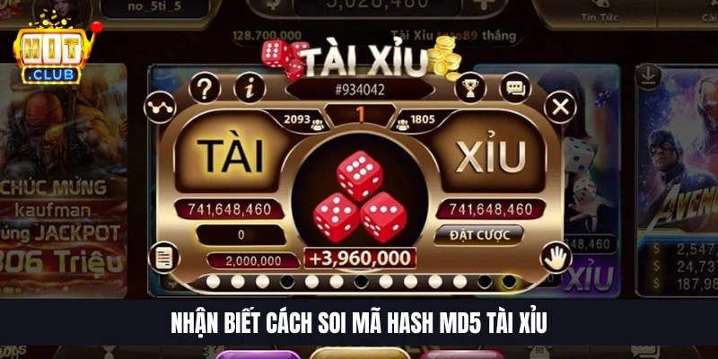 Nhận biết c&aacute;ch soi m&atilde; Hash MD5 T&agrave;i Xỉu