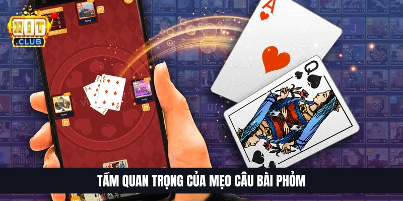 Tầm quan trọng của mẹo c&acirc;u b&agrave;i Phỏm
